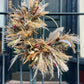 Preserved Flower Wreath (golden metal hoop)